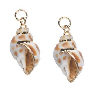 Drop, areola shell (natural) and gold-finished steel, 25x15mm. Sold per pkg of 2.