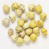 Bead mix, "howlite" (imitation) resin 1pkg25, opaque light to dark yellow, 17x14mm-18x15mm skull. image number 1