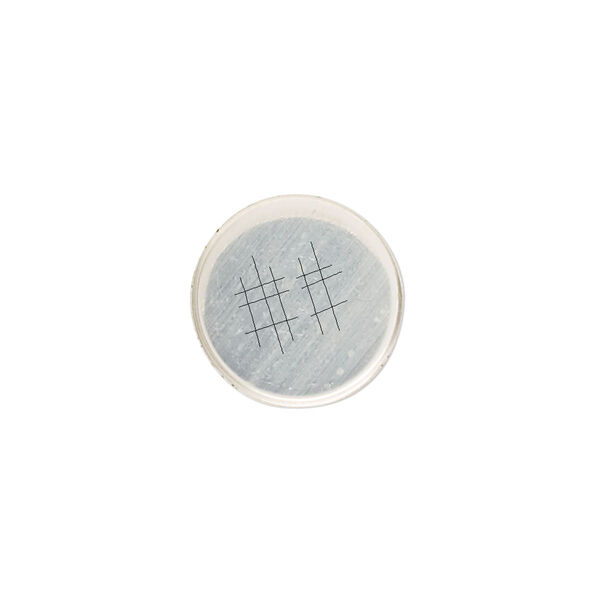 Bezel cup, sterling silver, solid back, 15mm unpolished round. Sold per pkg of 2. image number 0