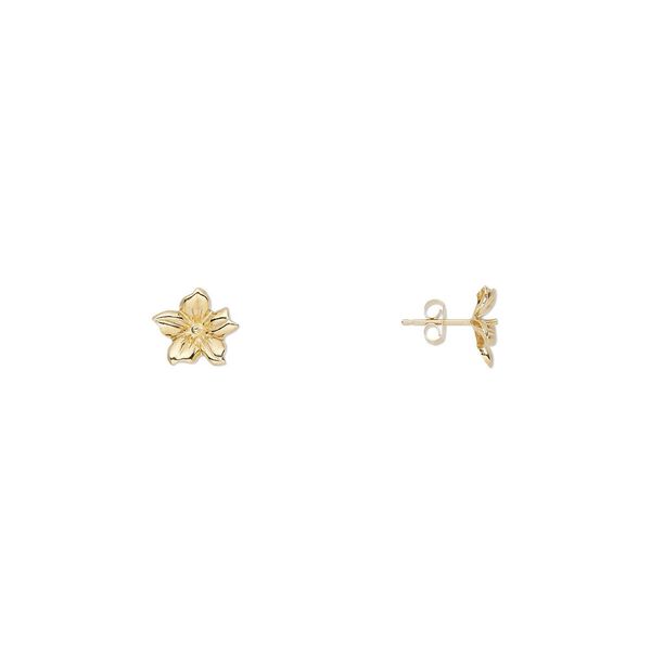 Earstud 1pkg2 14Kt gold-filled, 11mm flower / 2mm peg / 4-5mm half-drilled round setting / earnuts, 1 pair image number 0