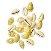 Bead 1pkg50, monita cowrie shell (natural), 16x10mm-25x18mm, Mohs hardness 3-1/2. image number 1