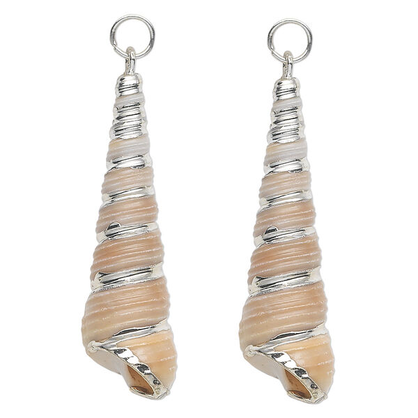Focal, tower shell (natural) and silver-plated steel, white and tan, 32x10mm-40x12mm shell, Mohs hardness 3-1/2. Sold per pkg of 2. image number 0