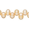 Freshwater pearl 1pkg1, top-drilled rice, 15.5-16 inch orange 8x6mm-12x7mm cultured image number 0