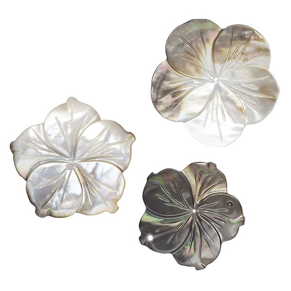 Focal mix, black lip and golden lip shell (natural), 30-36mm top-drilled carved flower. Mohs hardness 3-1/2. Sold per pkg of 3. image number 0