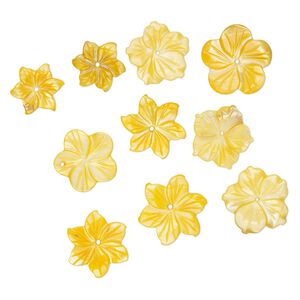 Focal / component 1pkg10 mother-of-pearl shell, 12-23mm hand-carved mixed drill flower, mix dyed orange / yellow