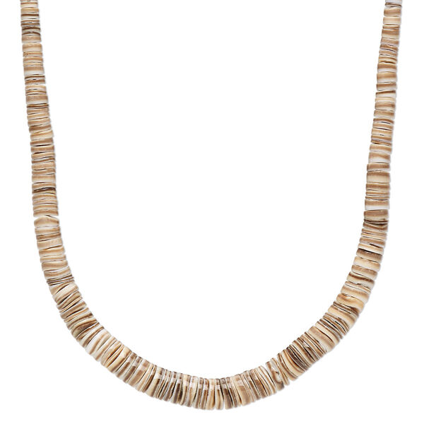 Bead, bat volute shell (natural), 3x2mm-8x3mm hand-cut graduated heishi, Mohs hardness 3-1/2. Sold per 18-inch strand. image number 0