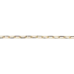 Chain 1pkg1 paperclip, 2.3mm, gold-finished brass 5 foot unfinished