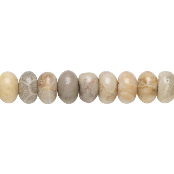 Fossil coral 1pkg1, rondelle bead natural 15.5-16 inch 8x5mm image number 0