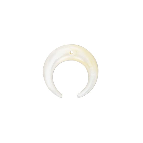 Mother-of-pearl shell 1pkg1, naja drop white 17x17mm image number 0