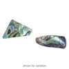 Focal and drop, abalone shell (natural), 16x17mm-36x25mm freeform, Mohs hardness 3-1/2. Sold per 1-ounce pkg, approximately 20-25 pieces. image number 2