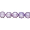 Freshwater pearl 1pkg1, semi-round, 15.5-16 inch dark lavender 10-11mm cultured image number 0