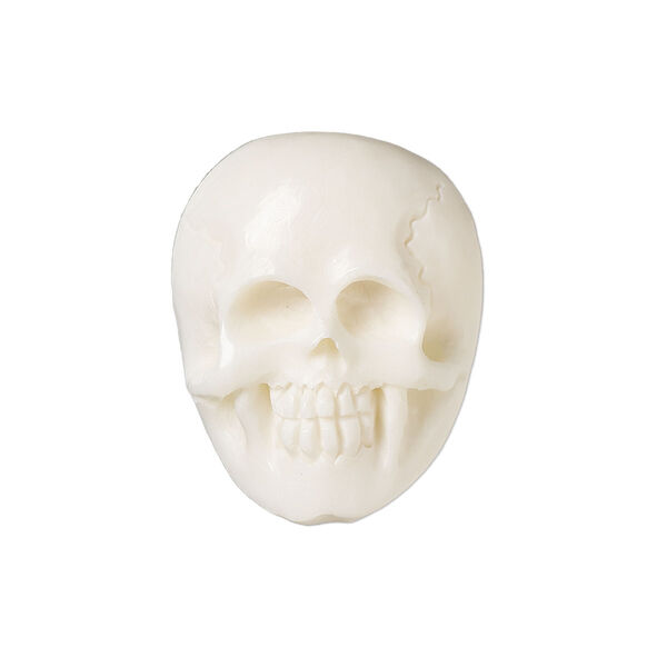 Component, bone (bleached), 26x20mm hand-carved single-sided skull, Mohs hardness 2-1/2. Sold individually. image number 0