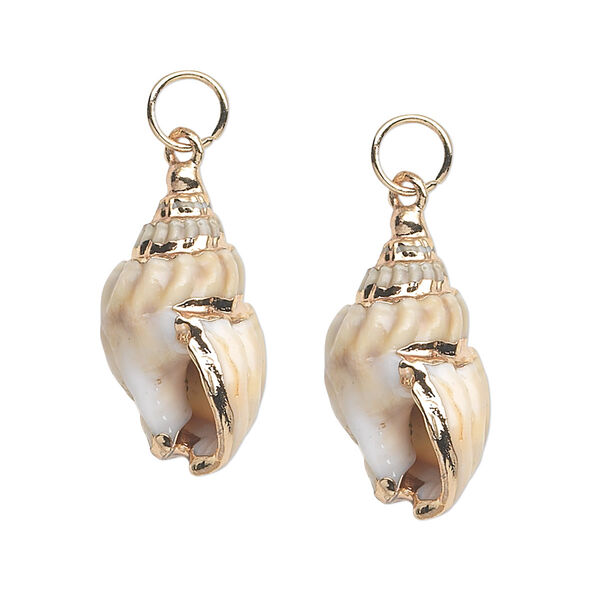 Focal, nassa shell (natural) and gold-finished steel, white / light brown / dark brown, 31x17mm. Sold per pkg of 2. image number 0