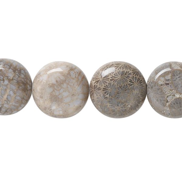 Fossil coral 1pkg1, flat hand-cut flat round bead natural 15.5-16 inch 14mm image number 0