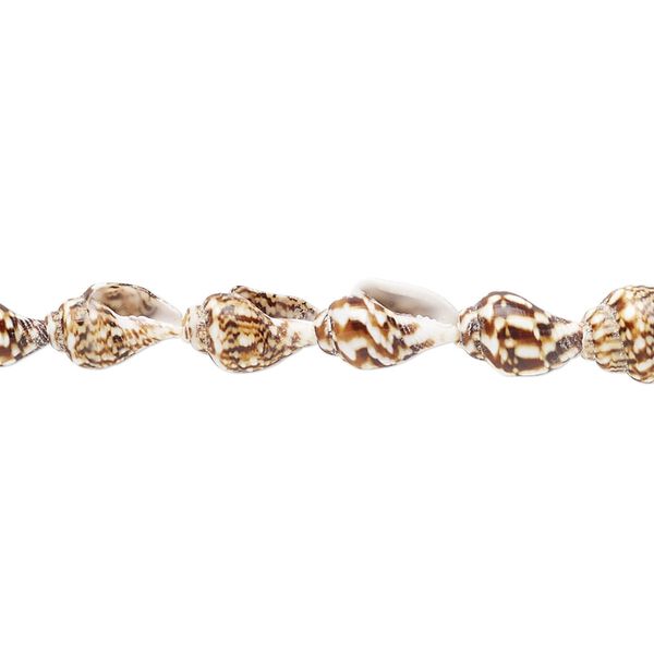 Bead, tiger nassa shell (natural), 7x4mm-12x7mm, Mohs hardness 3-1/2. Sold per 36-inch strand. image number 0