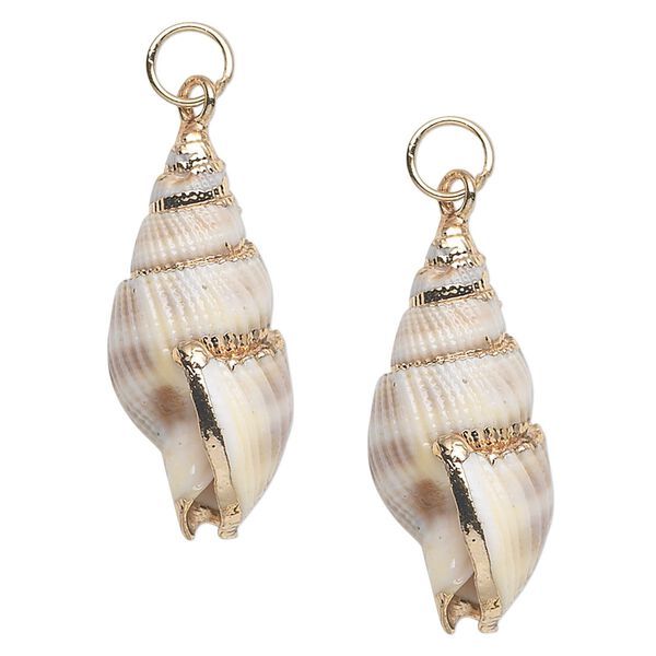 Drop, nassa shell (natural) and gold-finished steel, white / light brown / dark brown, 26x12mm. Sold per pkg of 2. image number 0
