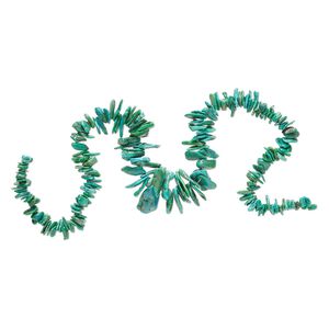 Turquoise 1pkg1, top-drilled chip bead 15 inch graduated small to gigantic