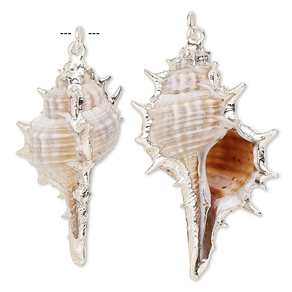 Focal, murex shell (natural) and silver-plated steel, white / dark brown / light brown, 45x20mm. Sold per pkg of 2. image number 0
