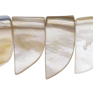Bead, brown lip shell (natural), 12x4mm-16x6mm tooth shape. Sold per 15-inch strand.