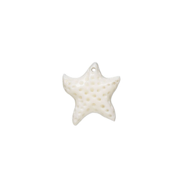 Drop, bone (bleached), 14mm hand-cut single-sided carved starfish, Mohs hardness 2-1/2. Sold per pkg of 2. image number 0