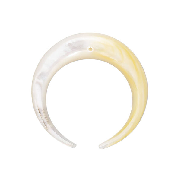 Gold lip shell 1pkg1, naja drop natural 28x28mm image number 0