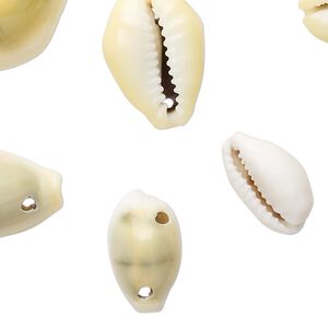 Bead 1pkg50, monita cowrie shell (natural), 16x10mm-25x18mm, Mohs hardness 3-1/2.