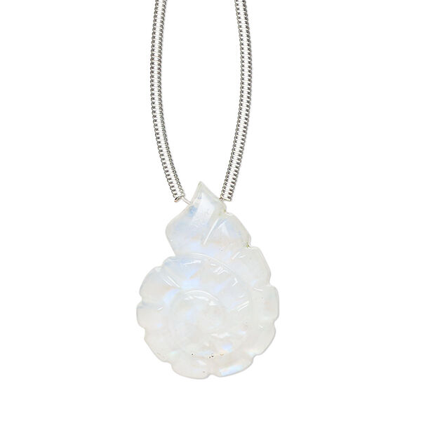 Bead, rainbow moonstone (natural), 20x15mm hand-cut top-drilled two-sided carved nautilus, B grade, Mohs hardness 6 to 6-1/2. Sold individually. image number 0