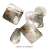 Focal mix, black lip shell / gold lip shell / mother-of-pearl shell (natural), 37x18mm-50x48mm mixed shape, Mohs hardness 3-1/2. Sold per pkg of 5. image number 3