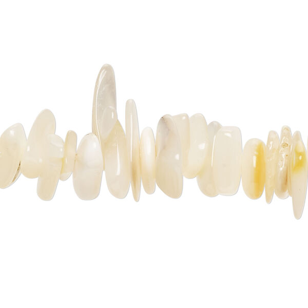 Bead 1pkg1, black lip shell / gold lip shell / mother-of-pearl shell (natural / bleached), medium to large chip, 15 inches. image number 0