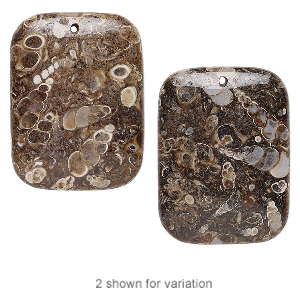 Turritella agate 1pkg1, puffed rectangle focal B grade, 40x30mm image number 0