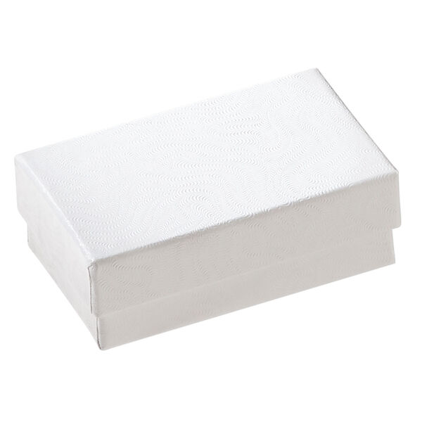 Box 1pkg10, paper and "cotton" filled, white, 2-1/2 x 1-1/2 x 7/8 inches rectangle image number 0