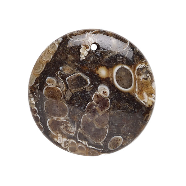 Turritella agate 1pkg1, flat round focal B grade, 30mm image number 0