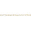 Mother-of-pearl shell 1pkg1, round bead 15 inch 7-8mm image number 1