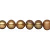Freshwater pearl 1pkg1, semi-round, 14 inch light iris gold 7-9mm cultured image number 0