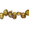 Freshwater pearl 1pkg1, baroque, 15 inch golden yellow 8x7mm-18x9mm cultured image number 0