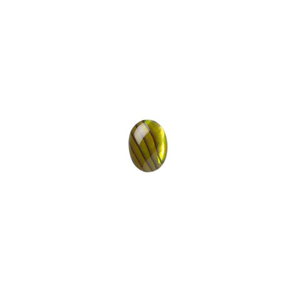 Cabochon, paua shell (dyed / coated), gold, 8x6mm calibrated oval, Mohs hardness 3-1/2. Sold per pkg of 10. image number 0