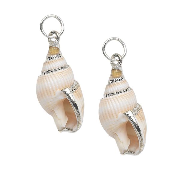 Drop, nassa shell (natural) and silver-plated steel, white / light brown / dark brown, 26x12mm. Sold per pkg of 2. image number 0