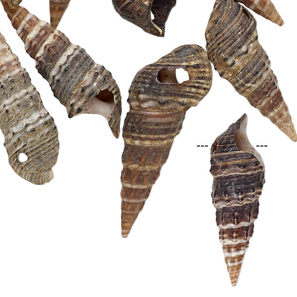 Drop mix, Japanese false cerith shell (natural), 24x8mm-31x10mm, Mohs hardness 3-1/2. Sold per pkg of 10. image number 0