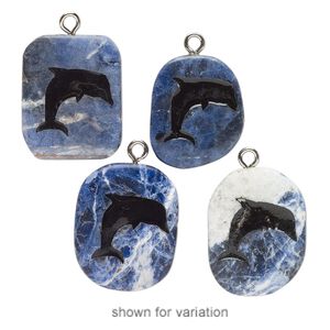 Focal, silver-finished steel / sodalite (natural) / enamel, black, 29x23mm-34x29mm freeform with dolphin, Mohs hardness 5-6. Sold individually.