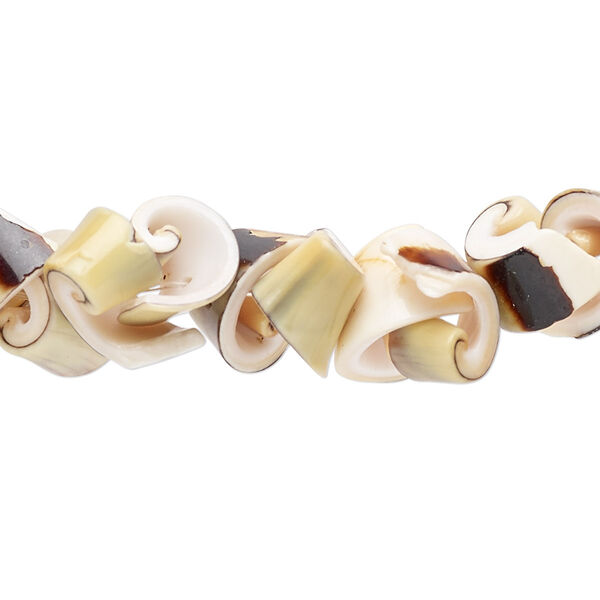 Bead, green everlasting shell (natural), 9x6mm-11x8mm, Mohs hardness 3-1/2. Sold per 15-1/2" to 16" strand. image number 0