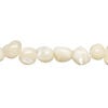 Black lip / gold lip / mother-of-pearl shell 1pkg1, nugget bead 15 inch mini to small image number 0