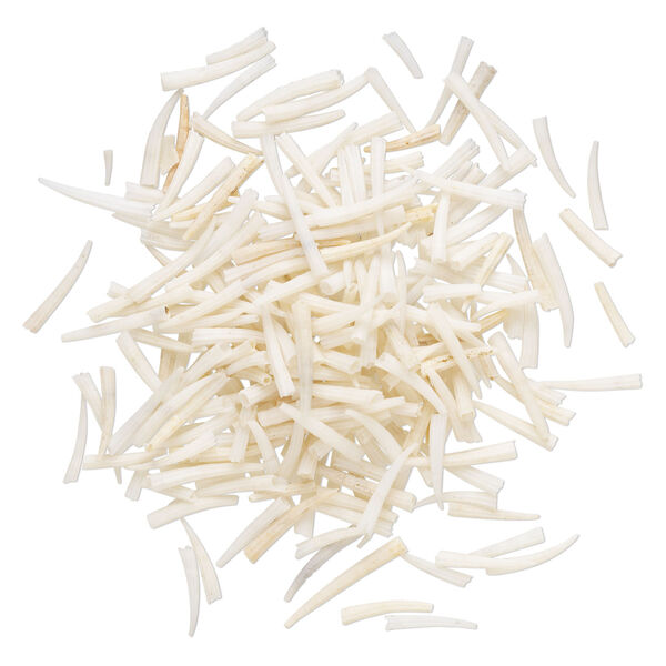 Component mix, Dentalium shell (bleached), 15-30mm undrilled. Sold per 1-ounce pkg, approximately 225-255 shells. image number 1