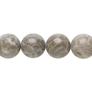 Fossil coral 1pkg1, round bead natural 15.5-16 inch 12mm