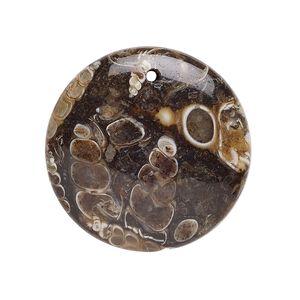 Turritella agate 1pkg1, flat round focal 30mm