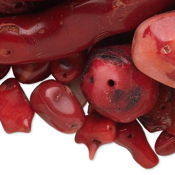 Bead mix, bamboo coral (natural / dyed), mixed colors, 5x2mm-75x25mm mixed shape, D grade, Mohs hardness 3-1/2 to 4. Sold per 1-pound pkg, approximately 230 beads. image number 0