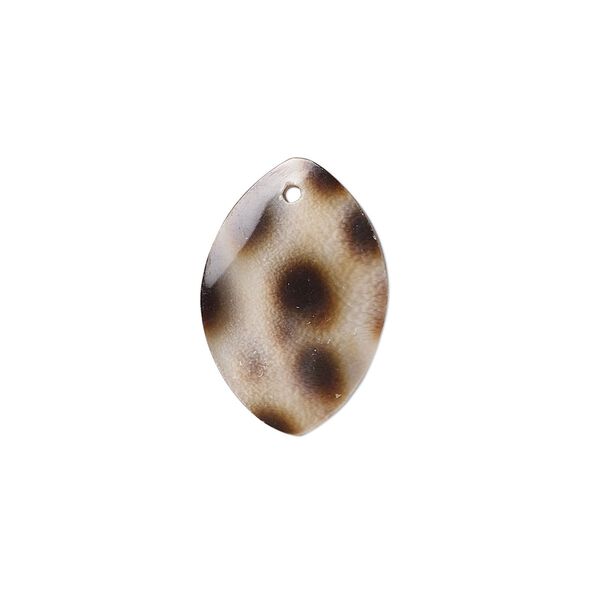 Drop, tiger cowrie shell (natural), 20x14mm marquise, Mohs hardness 3-1/2. Sold per pkg of 4. image number 0