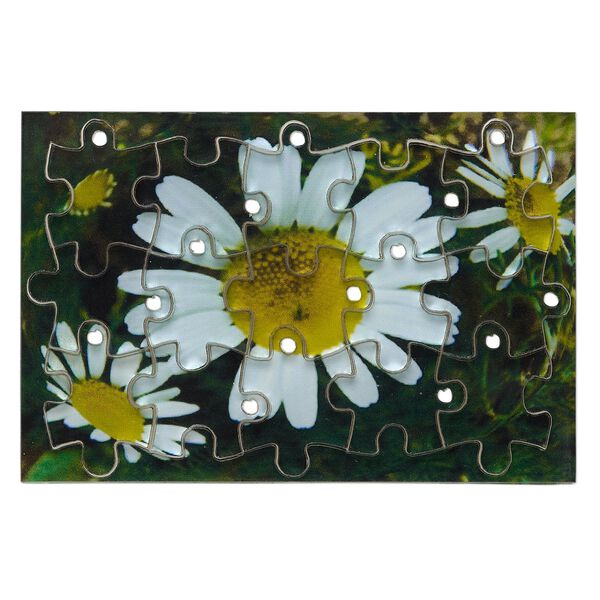 Drop, acrylic, multicolored, 3x2 inch puzzle with daisy image and 20x15mm individual pieces. Sold per 15-piece set. image number 0