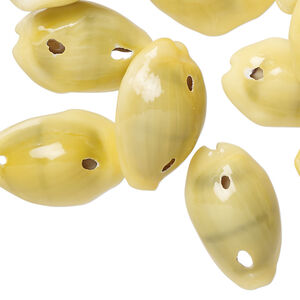 Bead 1pkg50, monita cowrie shell (natural), 16x10mm-25x18mm, Mohs hardness 3-1/2.