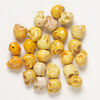 Bead mix, "howlite" (imitation) resin 1pkg25, opaque light to dark orange, 17x14mm-18x15mm skull. image number 0