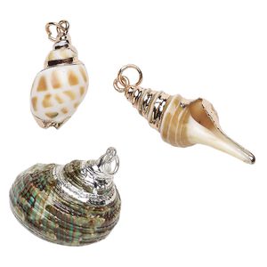 Pendant mix, multi-shell (natural) / gold- / silver- / copper-finished steel, 17x16mm-53x19mm shell. Sold per pkg of 3.